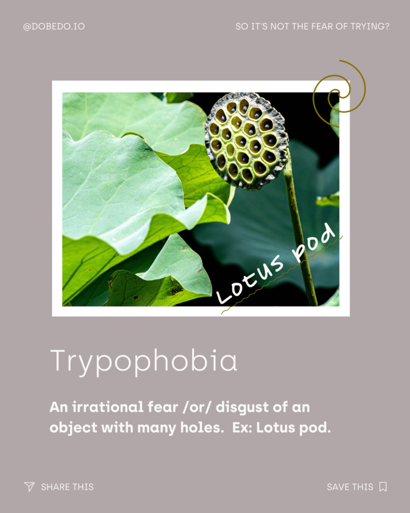 Trypophobia defined as an irrational fear or disgust of an objet with man holes. Ex: Lotus Pod.